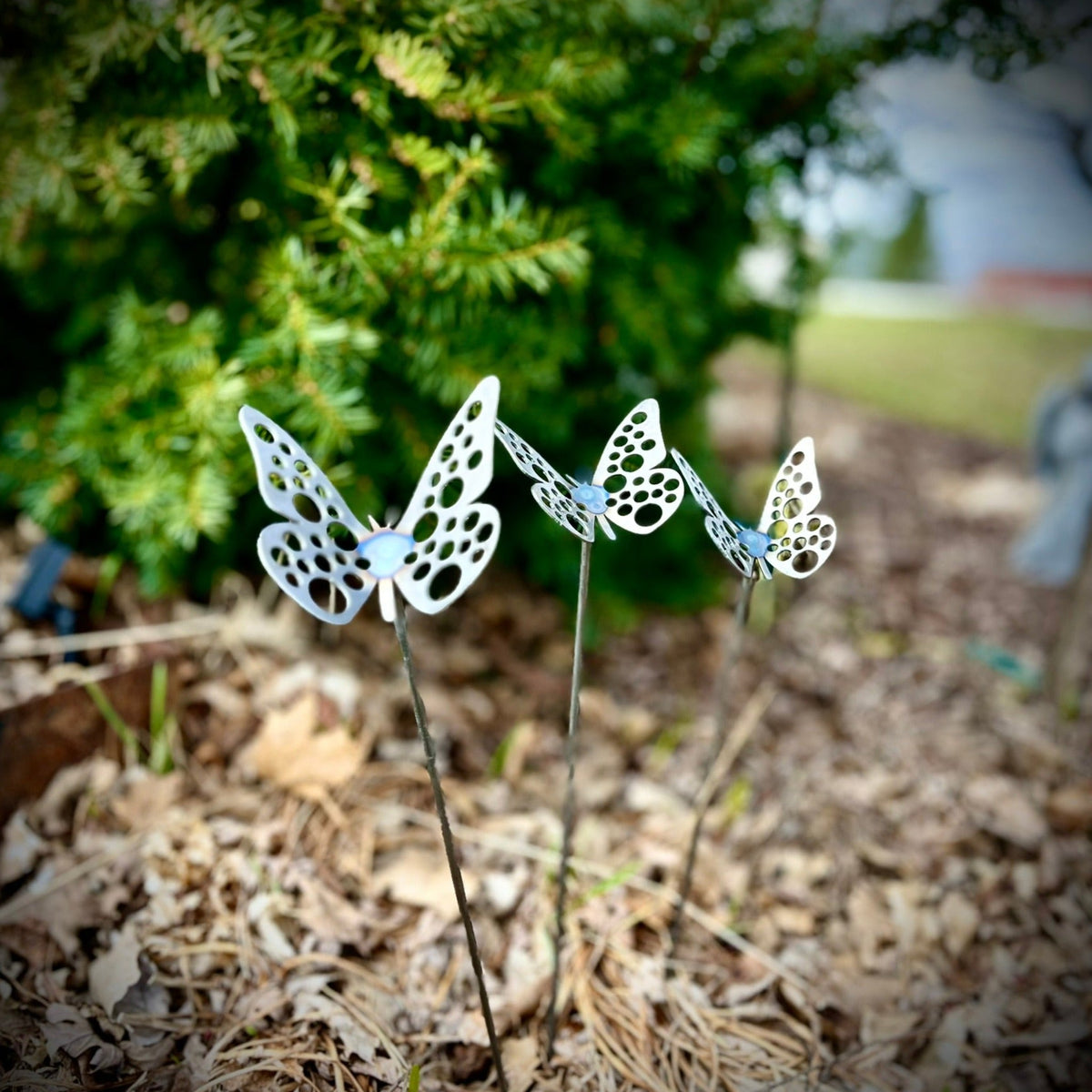 Front Yard Decor