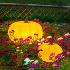 Solar Pumpkin Garden Light – Resin Illuminated Pumpkin Lawn Décor